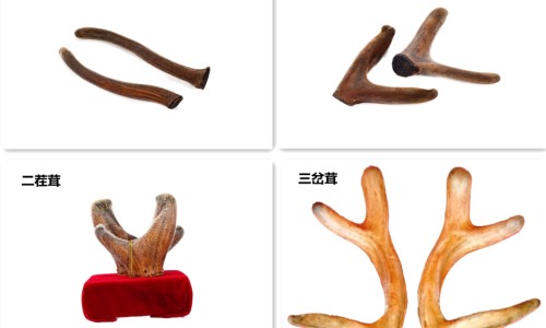 肝病腰会痛吗-肝炎引起腰痛专区_肝炎引起腰痛专区_肝病期间腰酸背痛是什么问题网