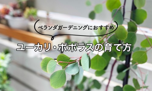肝病腰会痛吗-肝炎引起腰痛专区_肝炎引起腰痛专区_肝病期间腰酸背痛是什么问题网