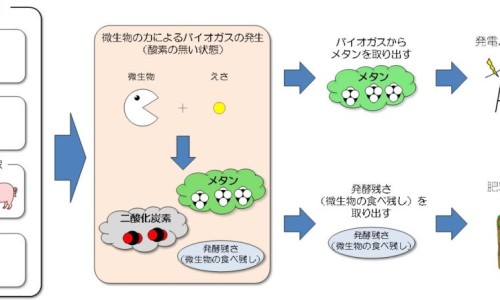 肝炎引起腰痛专区_肝炎引起腰痛专区_肝病期间腰酸背痛是什么问题网